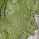 The way Lake Erie looked during the water crisis August 4, 2014.